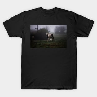 Through The Mist T-Shirt